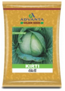 Kirti Cabbage 